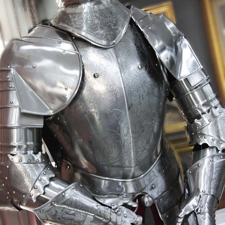 Fantástica armadura medieval - 4