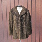 Beaver coat,