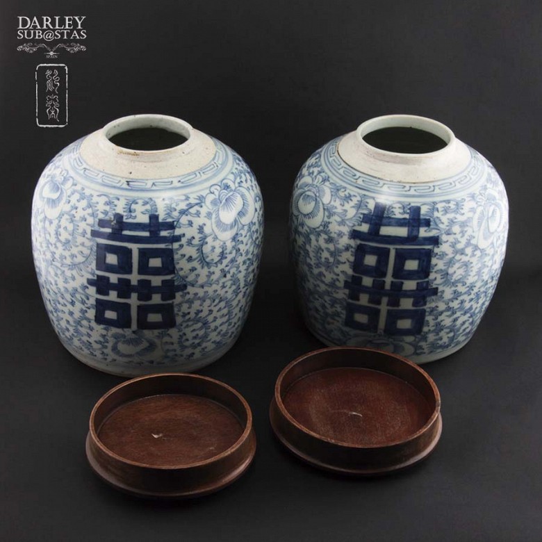 Pareja de vasijas chinas porcelana S. XIX - 4