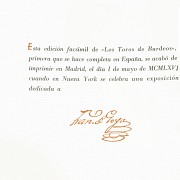 Francisco de Goya Lucientes 