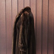 美丽的深棕色貂皮大衣 - 4