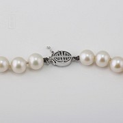 Necklace with Natural pearls and closure 14K white gold - 2
