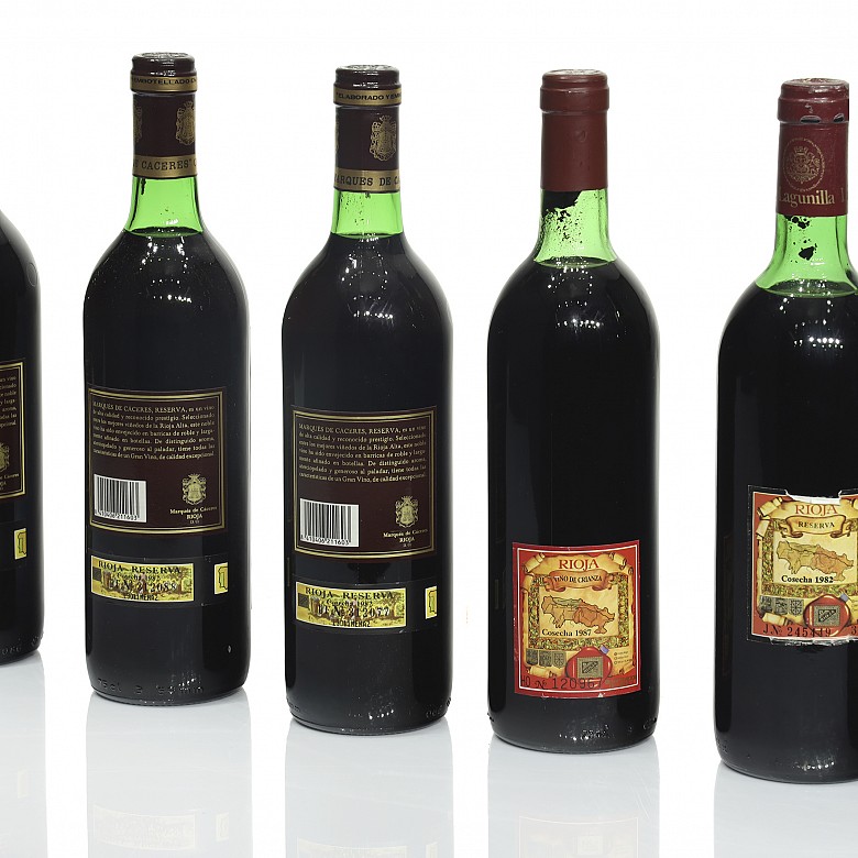 Lote de once botellas de vino de Rioja