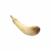Ivory Eggplant, pps.s.XX