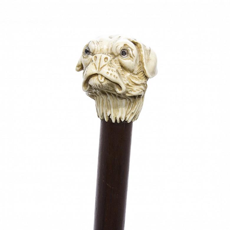 Bastón de madera y puño con forma de cabeza de perro, pps.s.XX