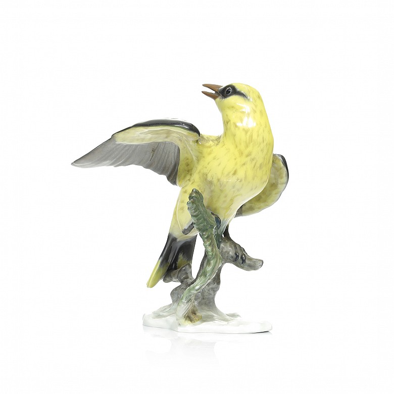 Pájaro de porcelana alemana, Rosenthal, S.XX