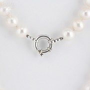 Necklace with Natural pearl sterling silver closure, 925 - 3