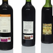 Lote de cinco botellas de vino, Ribera del Duero.