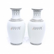 Pair of glazed porcelain vases, China, 20th century - 2