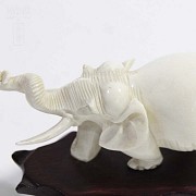 Elefante y almeja de marfil - 3