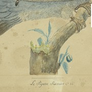 Pair of illustrations of birds, 20th century - 4