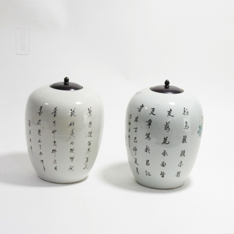 Bonita pareja de jarrones chinos - 10