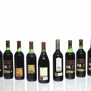 Lot of eleven bottles of Rioja wine