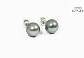 Earrings in 18k white gold with Tahiti pearls.