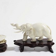 Elefante y almeja de marfil - 6