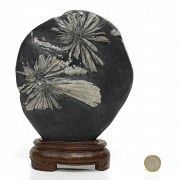 A chrysanthemum stone Suiseki, with pedestal, 20th Century