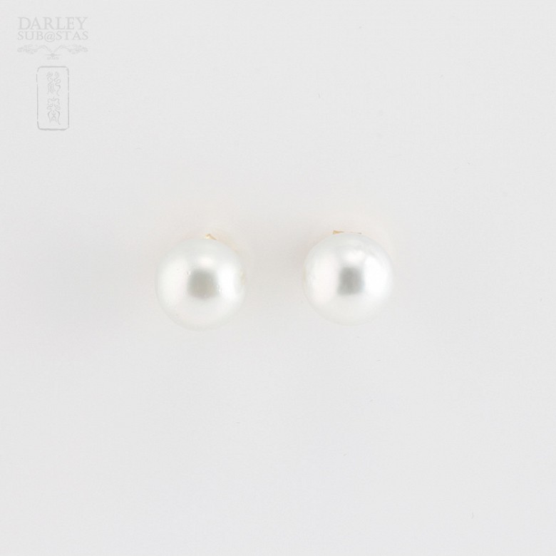 Earrings Australian11.5-12mm Pearl in 18k Yellow Gold - 1