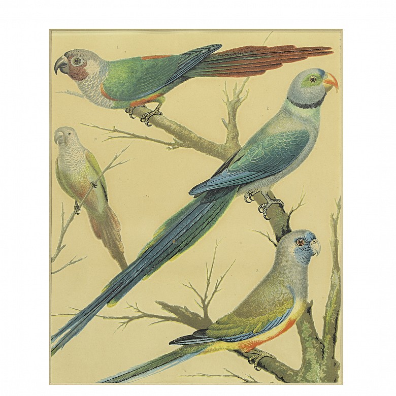 Set of four paintings of birds, 20th century - 4