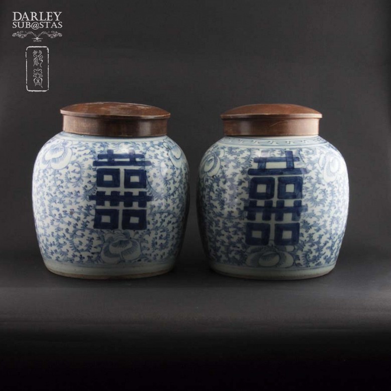 Pareja de vasijas chinas porcelana S. XIX