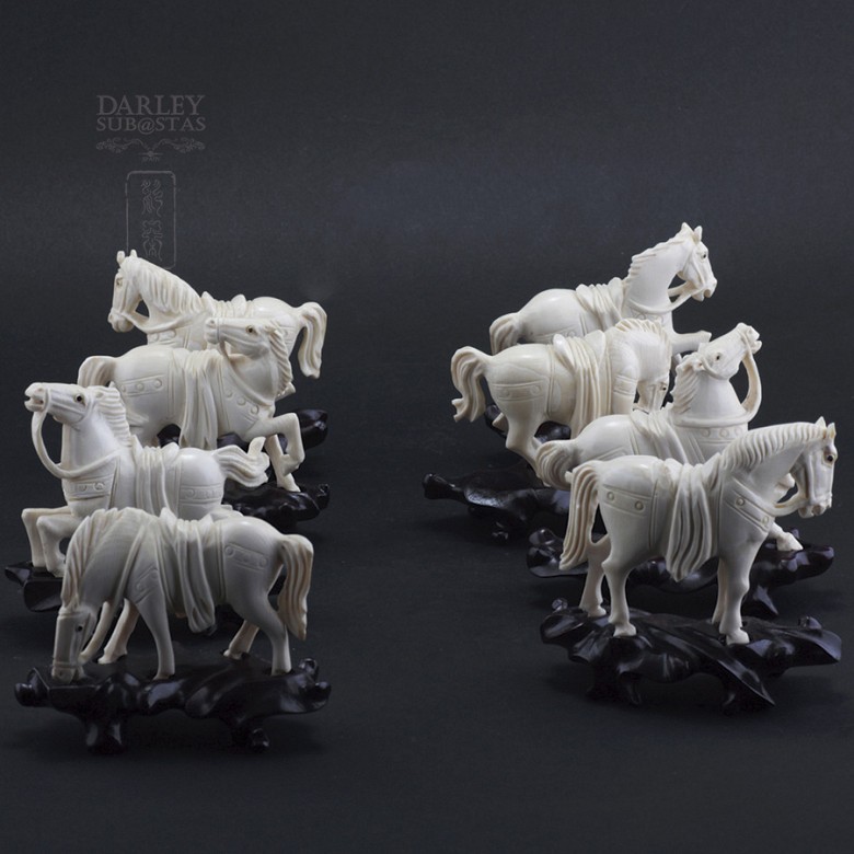 Eight horses collection Ivory - 1