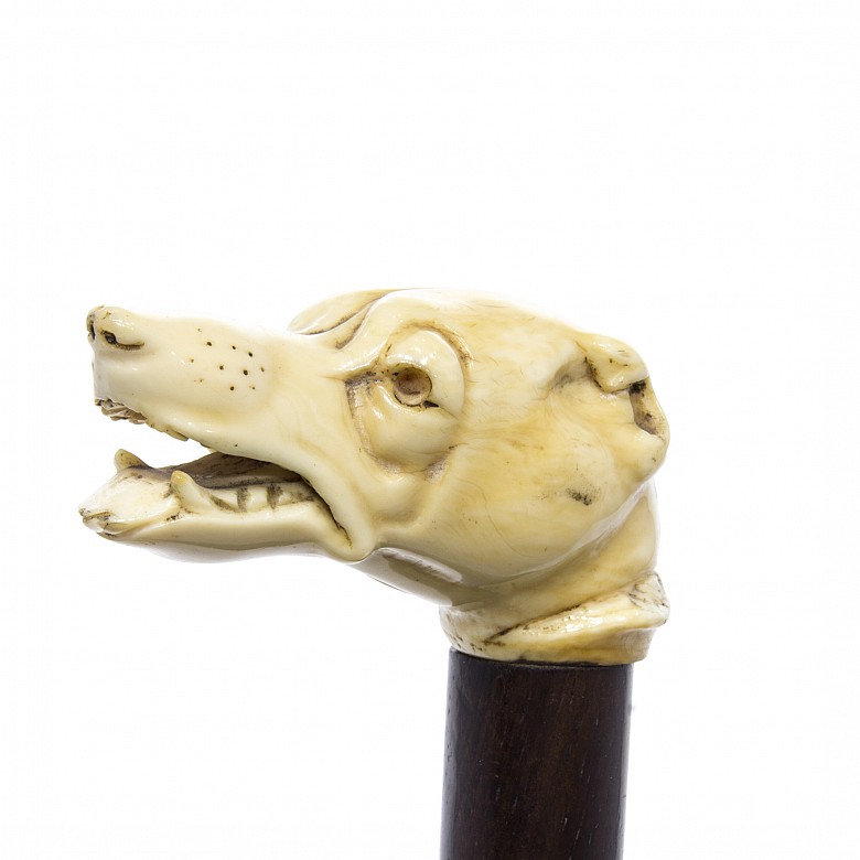 Wooden cane and greyhound-shaped fist, eatly 20th century - 2