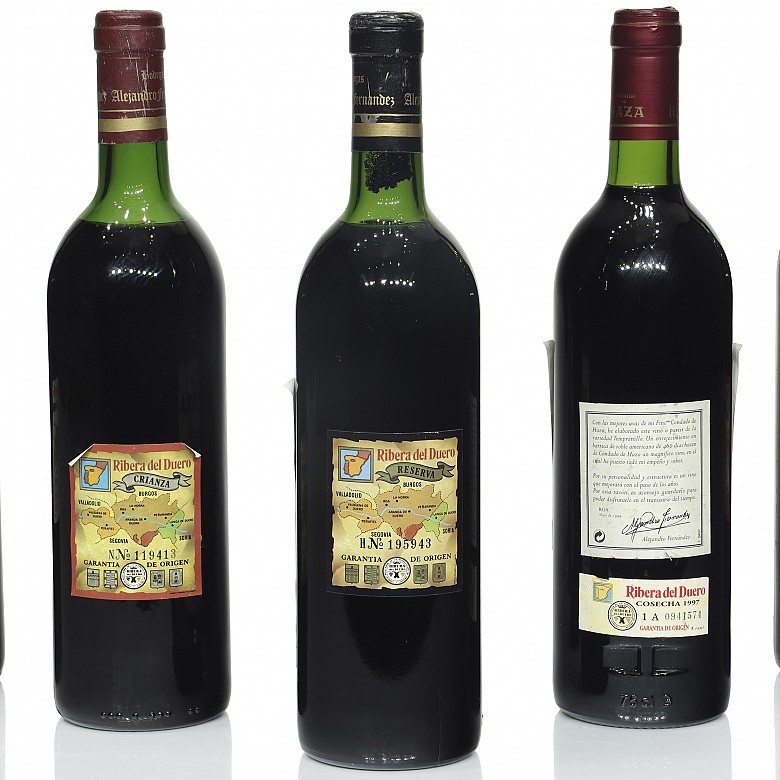 Lot of seven bottles of red wine, Ribera del Duero