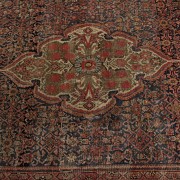 來自伊朗的波斯地毯，Bakhtiari。