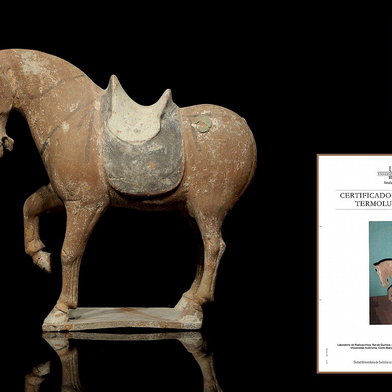 Terracotta horse, Tang dynasty (618 - 906)