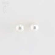 Earrings Australian11.5-12mm Pearl in 18k Yellow Gold - 1