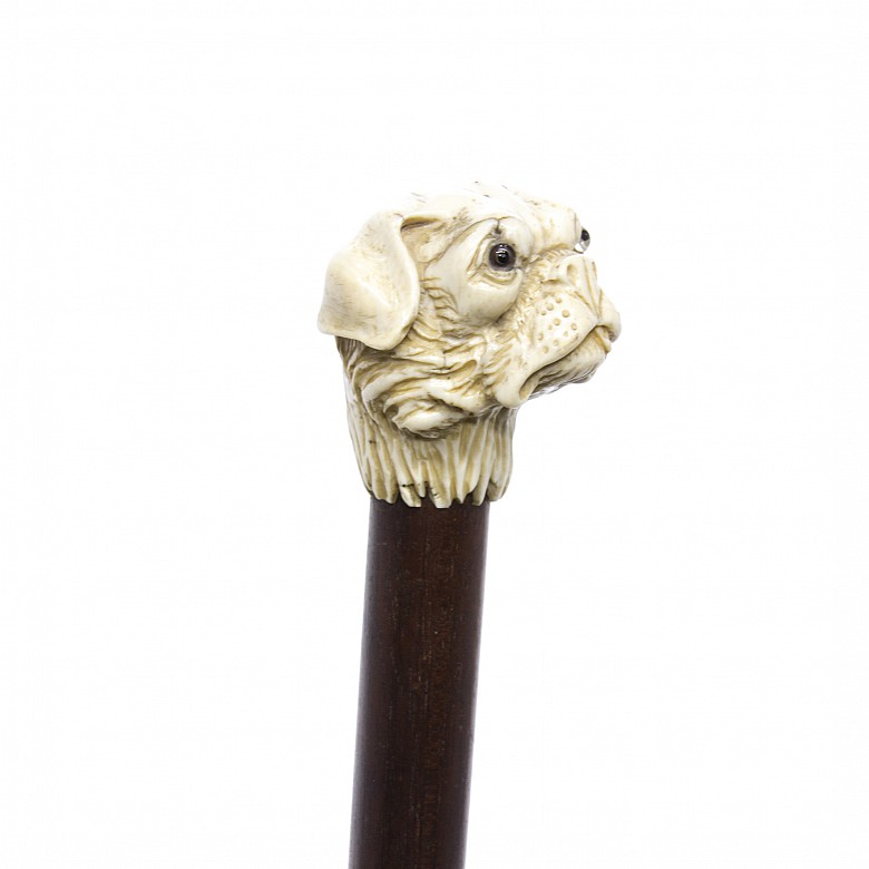 Wooden walking stick and fist in the shape of a dog's head, early 20th century