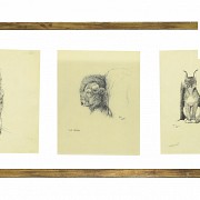 Cecil Aldin (1870 - 1935) Conjunto de tres dibujos