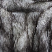Chaquetón de zorro azul del ártico - 1