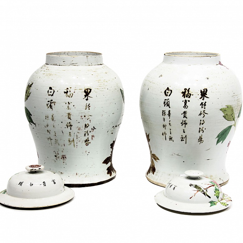 Pareja de tibores con tapa de porcelana esmaltada, China, s.XIX.