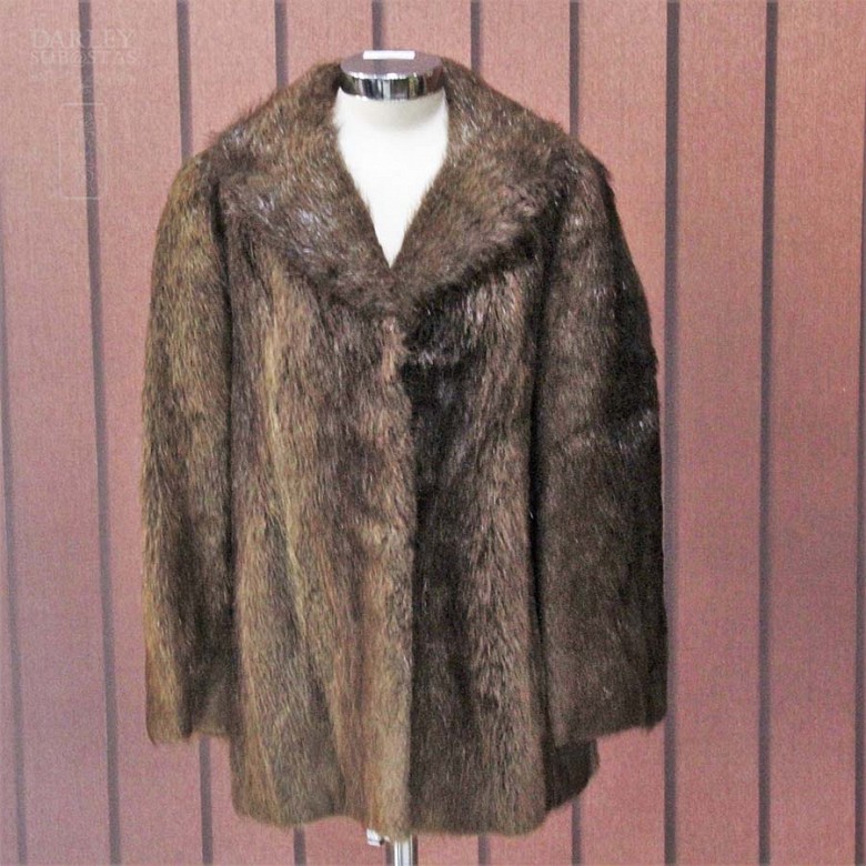 Beaver coat, - 2
