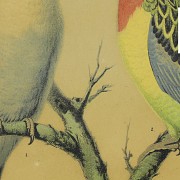 Set of four paintings of birds, 20th century - 1