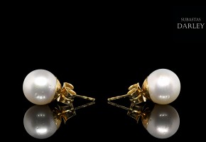 Pendientes con perla australiana de 10 mm y oro amarillo 18 k