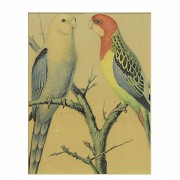 Set of four paintings of birds, 20th century - 9