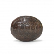 Cuenta de jade con forma de caparazón de tortuga, s.XIX