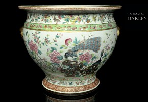 Pecera de porcelana esmaltada, dinastía Qing