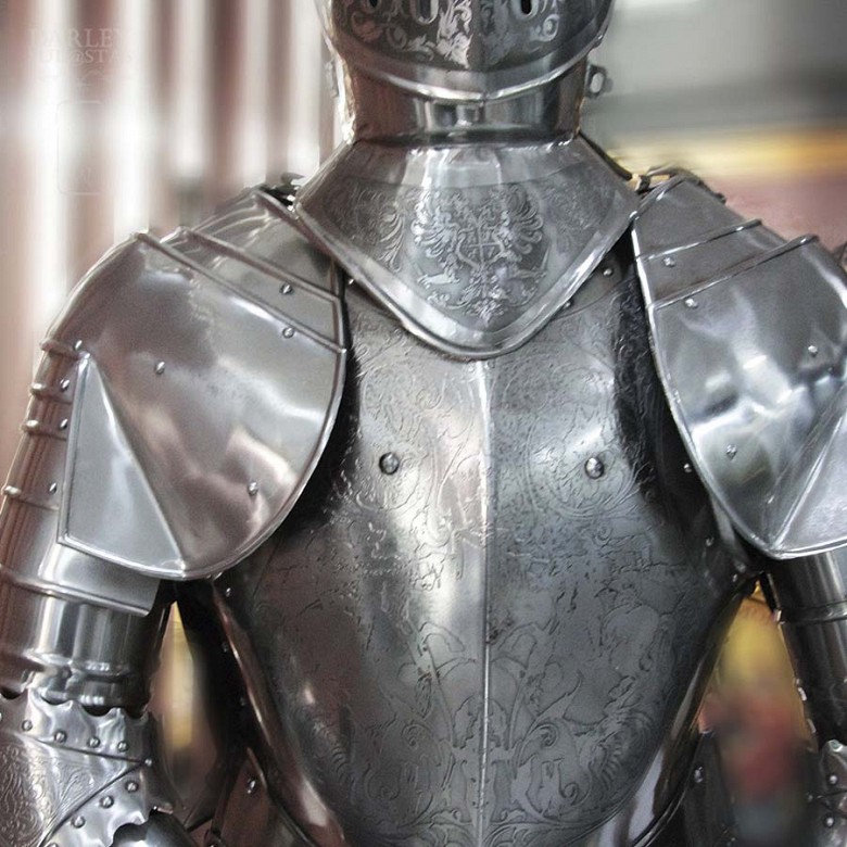 Fantástica armadura medieval - 2