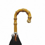 Umbrella with carved wooden handle